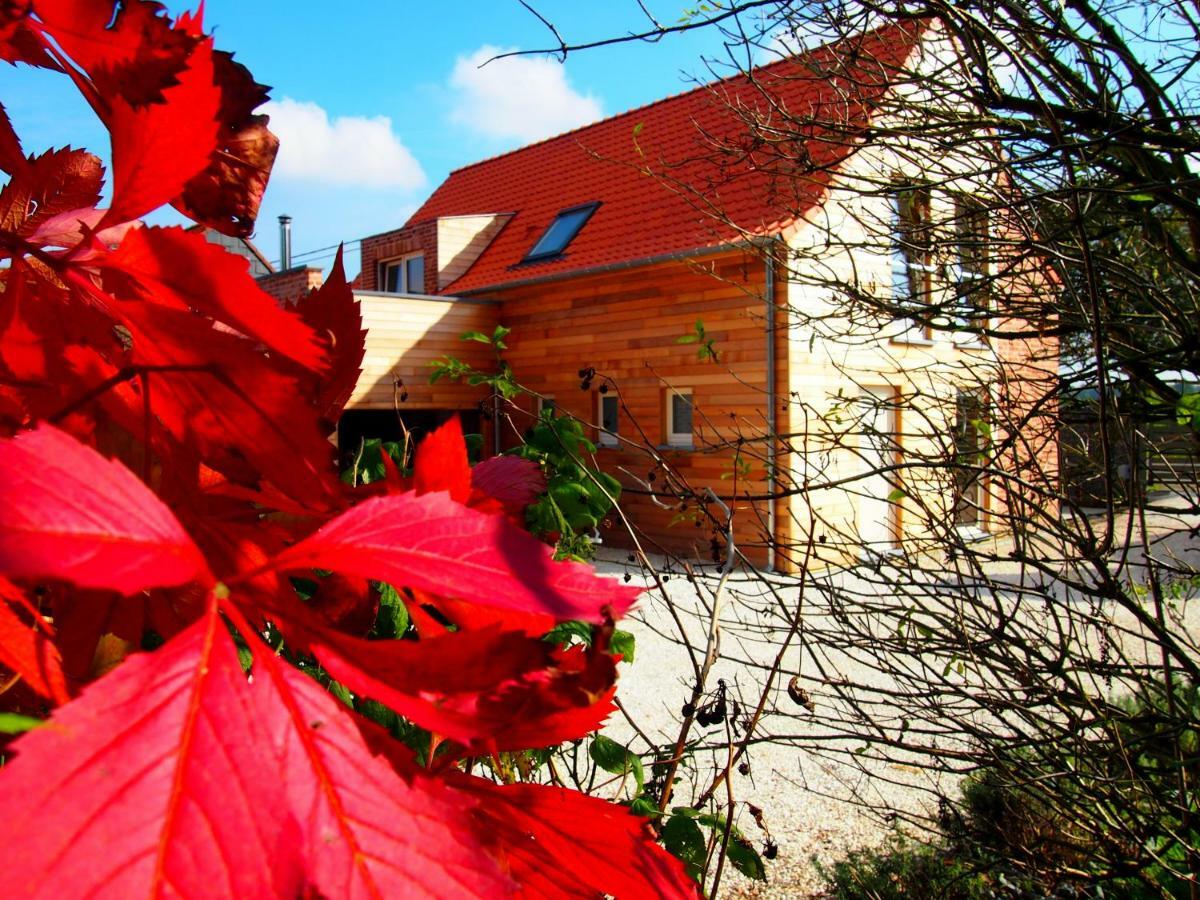 Archipel Holiday Cottage Ellezelles Екстер'єр фото
