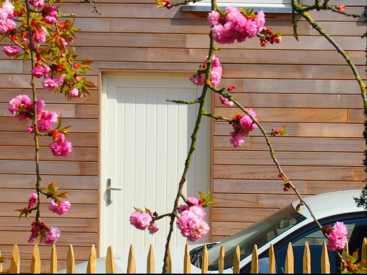 Archipel Holiday Cottage Ellezelles Екстер'єр фото
